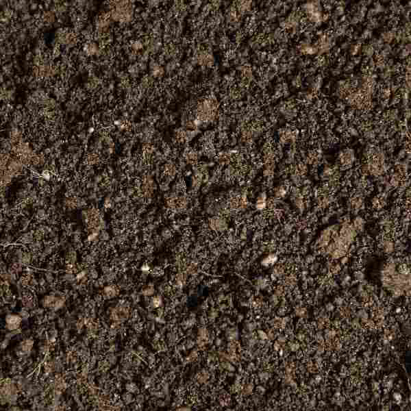 إحلال التربة ودمك التربة بالتفصيل 17 إحلال التربة ودمك التربة بالتفصيل